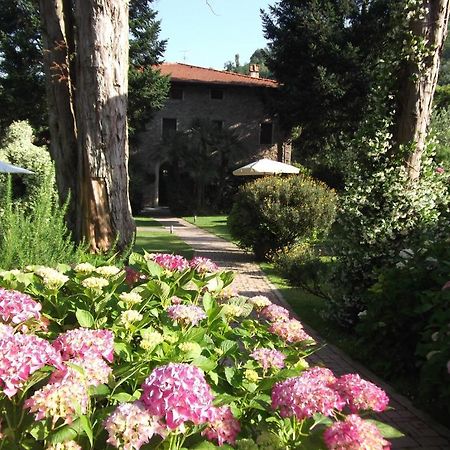 Penzion L'Arcadia Pietrasanta Exteriér fotografie
