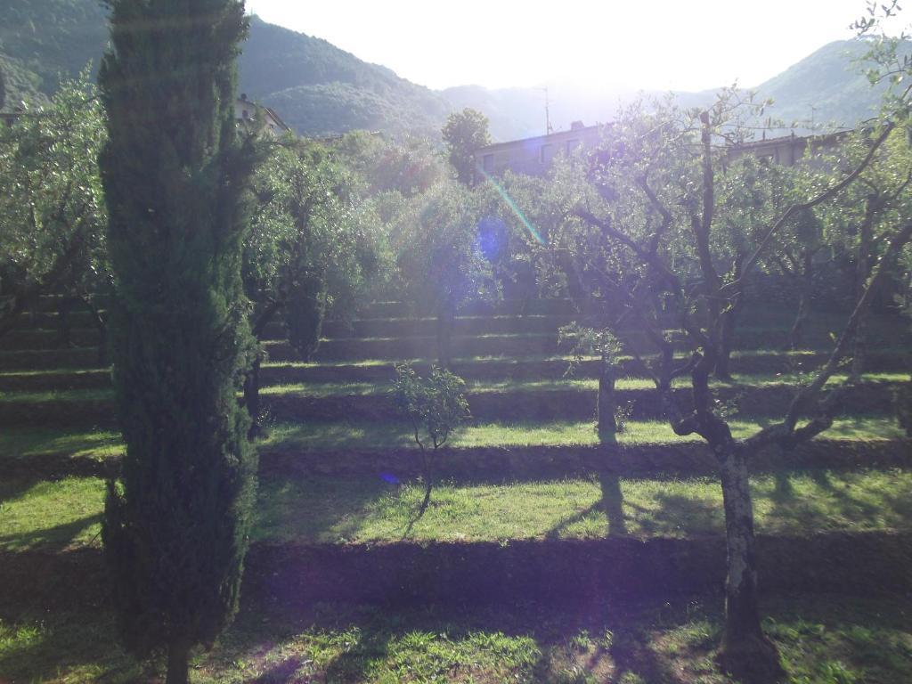 Penzion L'Arcadia Pietrasanta Exteriér fotografie